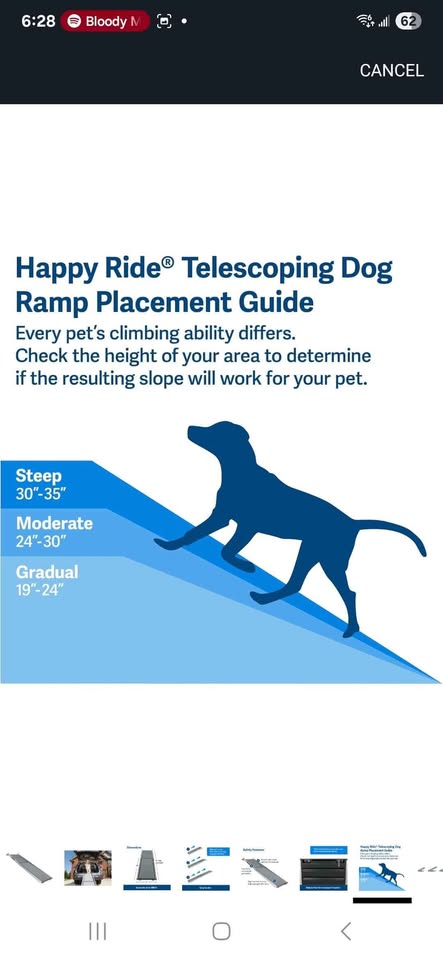 Solvit collapsible dog ramp - photo 4