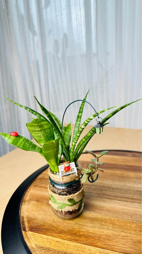 Spring On Sale / cute plant arrangement at half price - photo 2