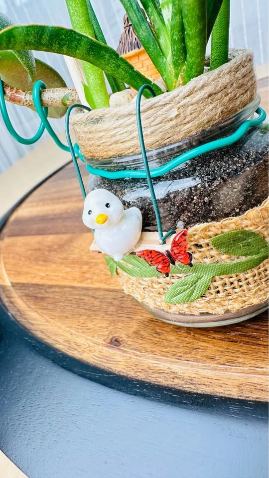 Spring On Sale / cute plant arrangement at half price - photo 3