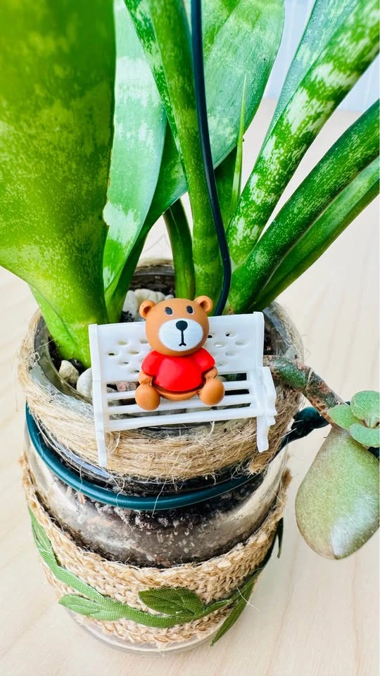 Spring On Sale / cute plant arrangement at half price - photo 4