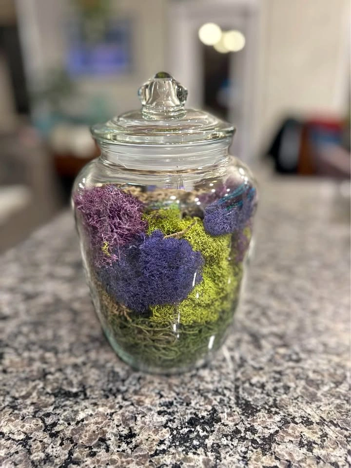 Decorative Preserved Moss Terrarium