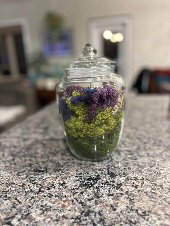 Decorative Preserved Moss Terrarium - photo 2