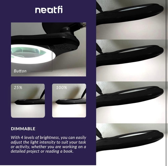Neatfi Magnifying Floor Lamp - photo 4