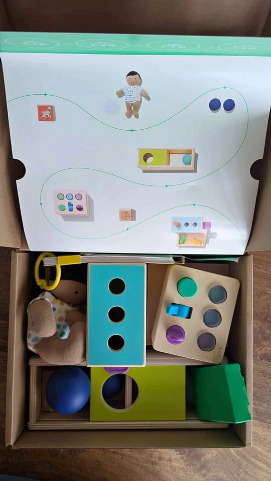 Lovevery The Thinker Play Kit 11-12M