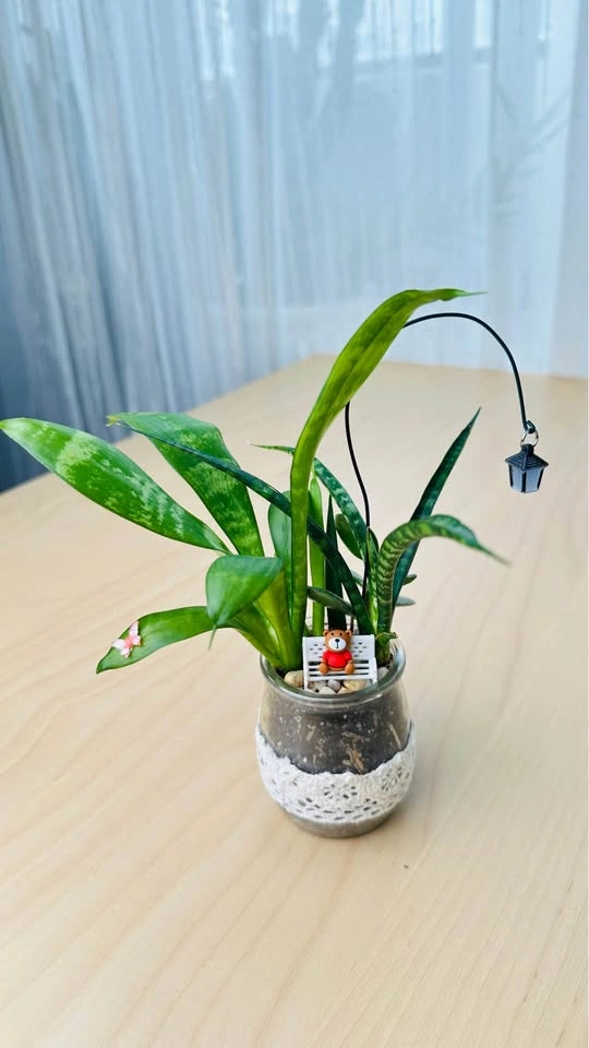 Spring On Sale/ cute plant arrangement 50% off - photo 2