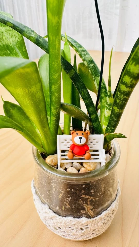 Spring On Sale/ cute plant arrangement 50% off - photo 3