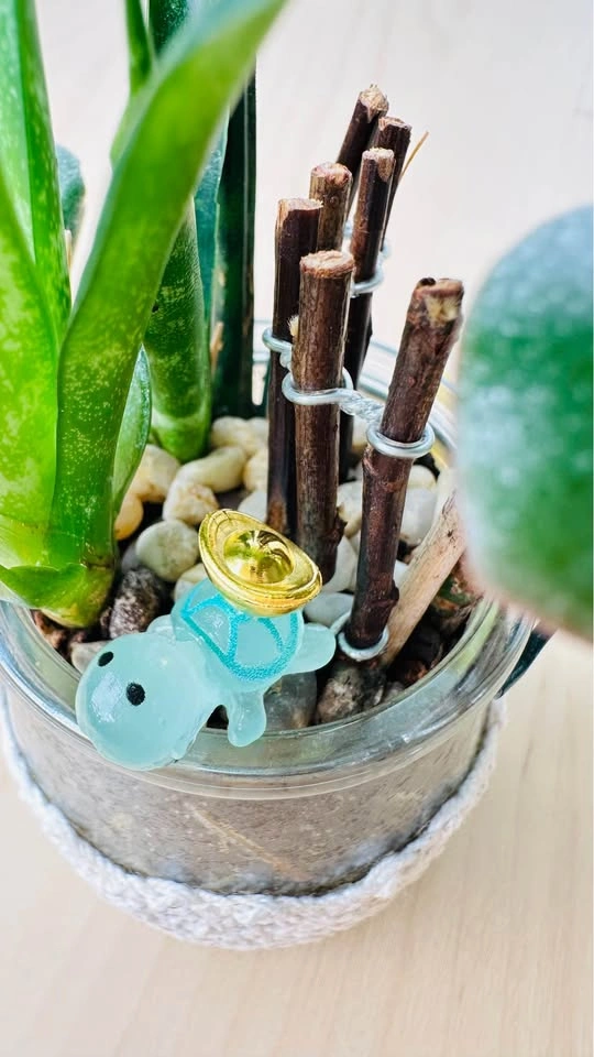 Spring On Sale/ cute plant arrangement 50% off - photo 5