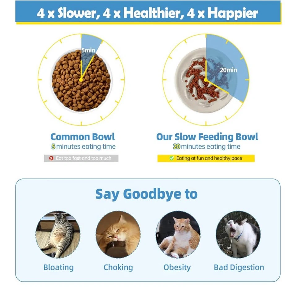 Slow Feeder Cat Bowl - photo 4