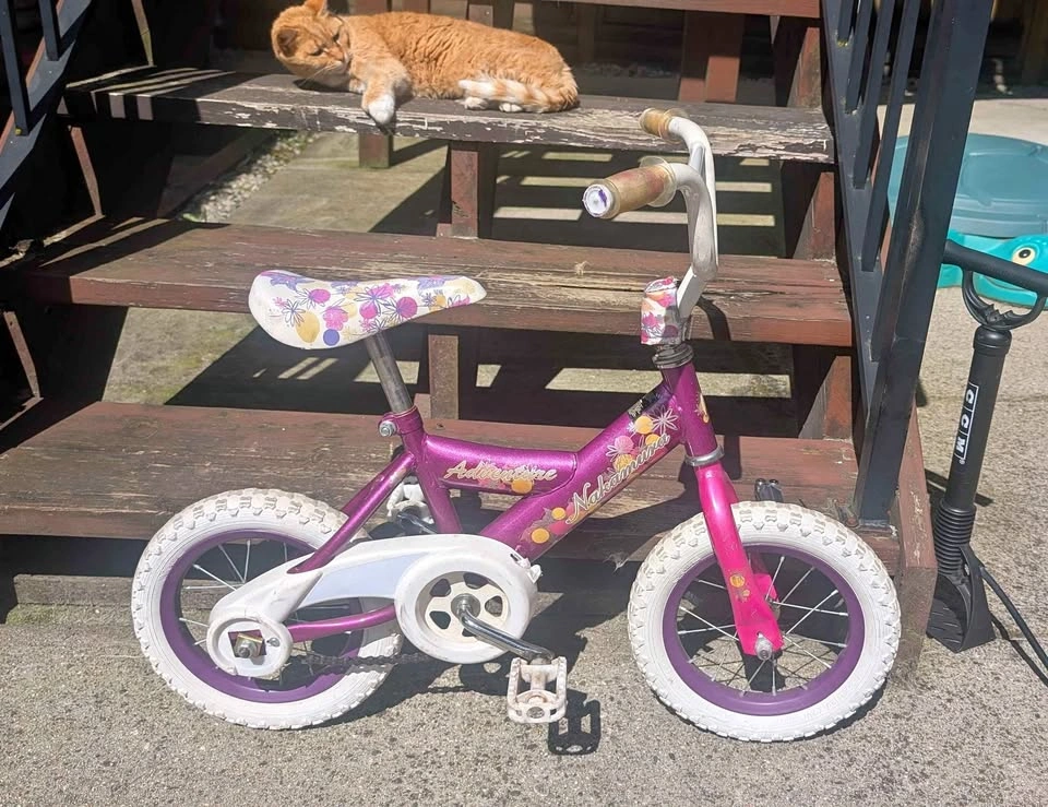 Kids (toddler) bike - 12.5"