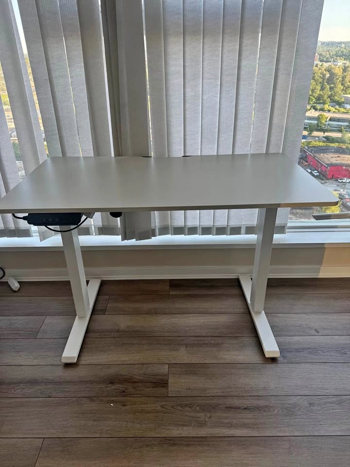 Electric Adjustable Standing Desk