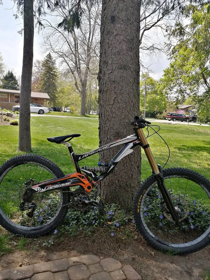 Lapierre DH Team Bike - Carbon Rear, FOX 40 Fork
