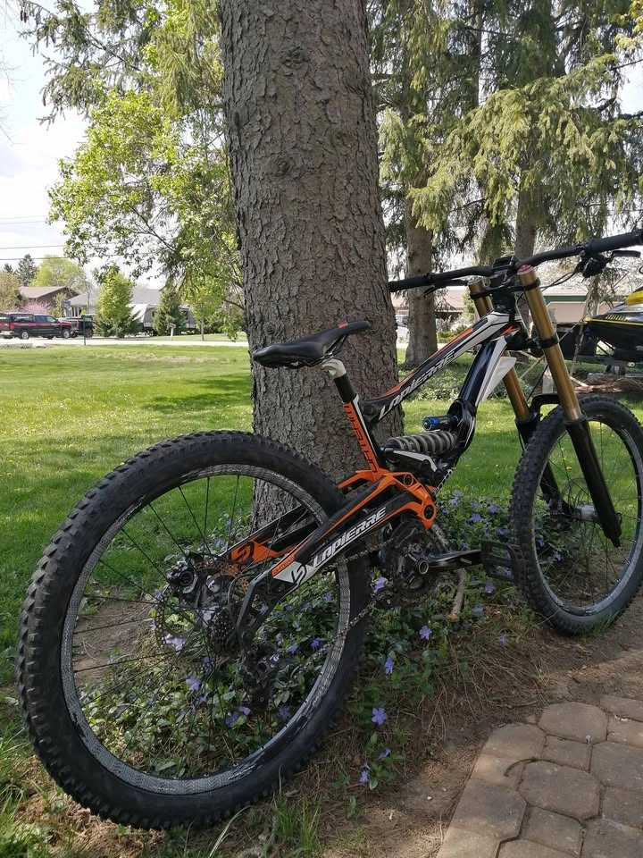 Lapierre DH Team Bike - Carbon Rear, FOX 40 Fork - photo 5