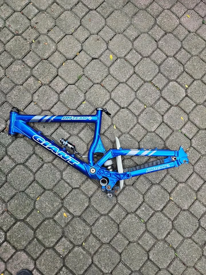 Giant Team DH Bike Frame - Size Small
