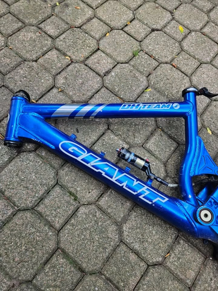 Giant Team DH Bike Frame - Size Small - photo 4