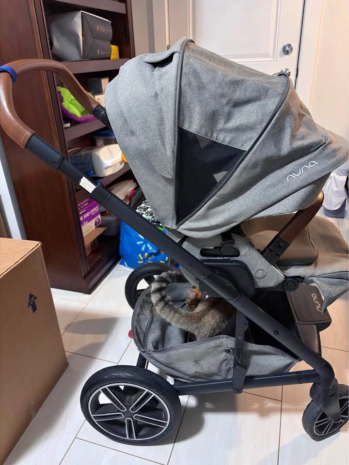 NUNA Stroller (Please read description)