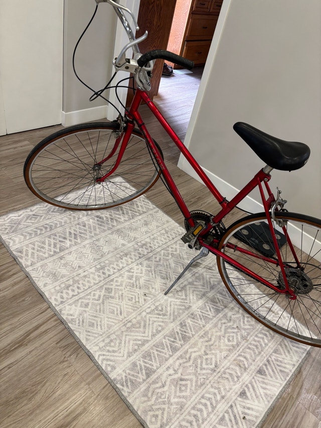 Vintage Raleigh Bike
