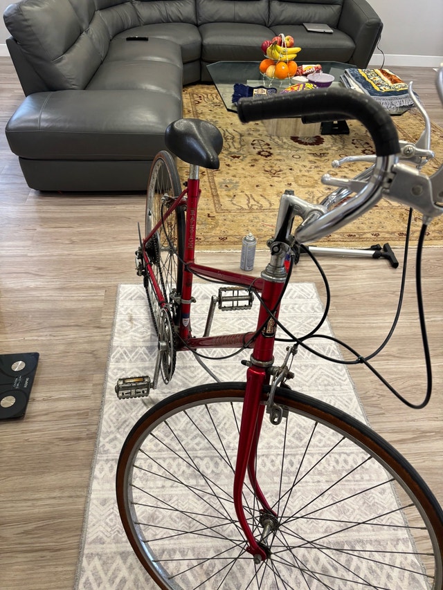 Vintage Raleigh Bike - photo 4
