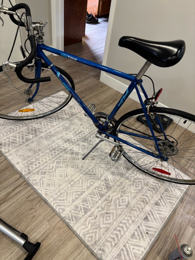 Vintage Pro Tour Road Bike