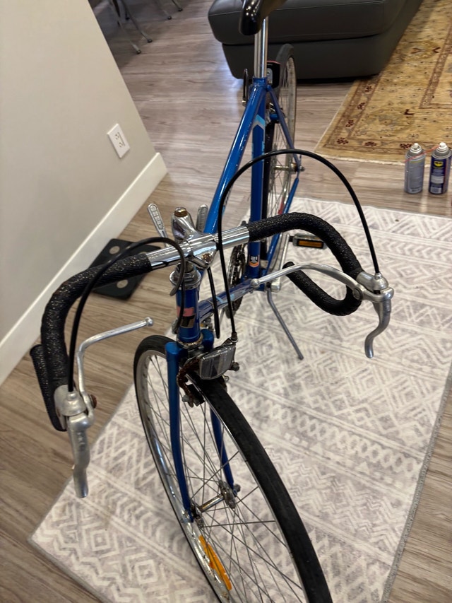 Vintage Pro Tour Road Bike - photo 2