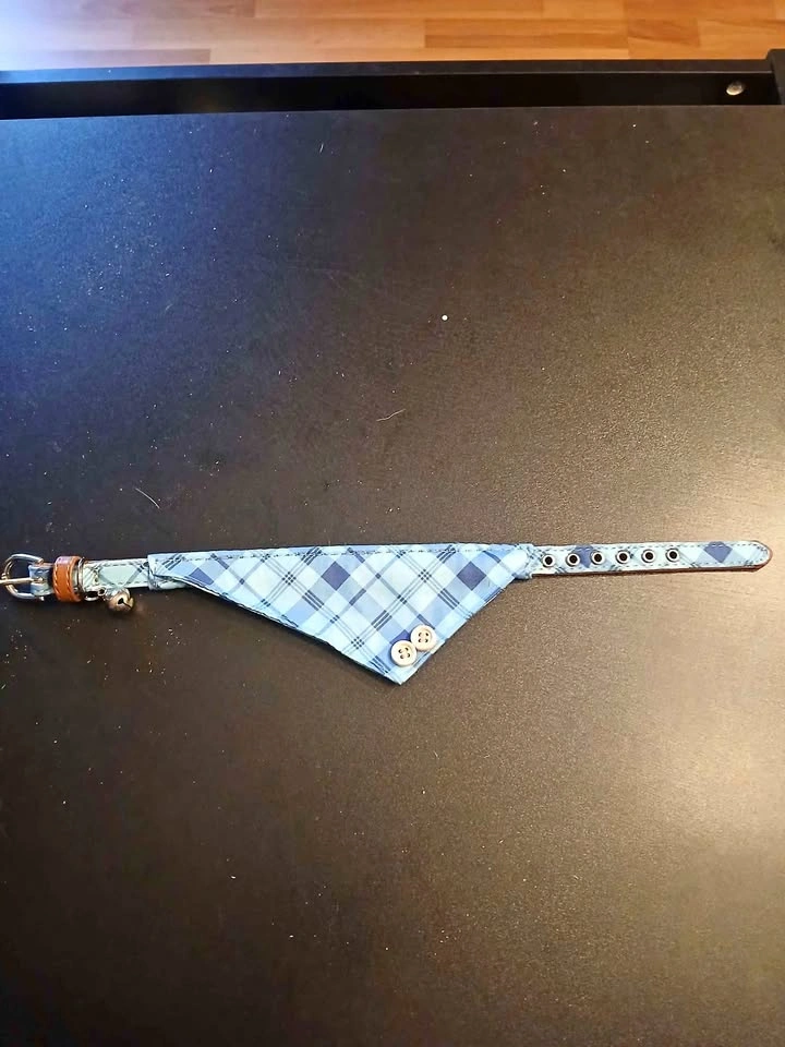 Cute Dog Collar