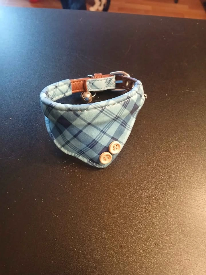 Cute Dog Collar - photo 2