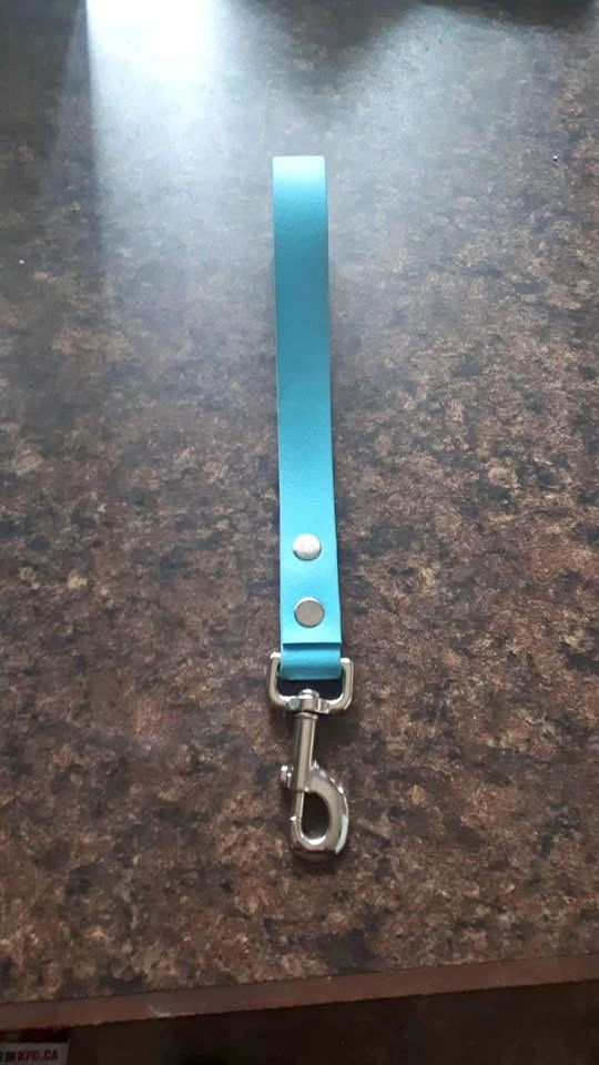 Biothane Traffic Leash