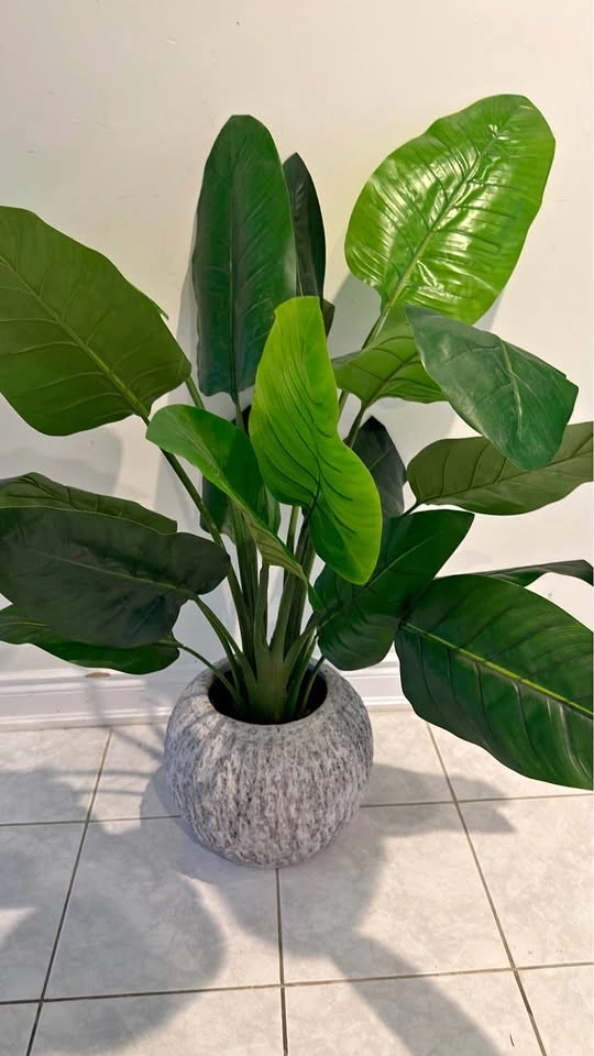 Fake plant (retail $165)