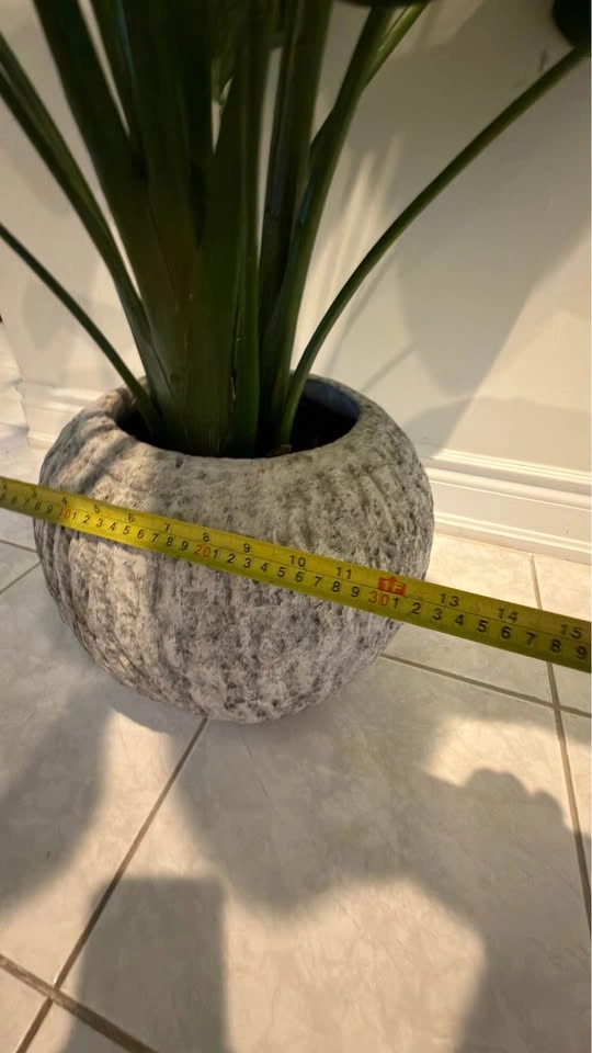 Fake plant (retail $165) - photo 2