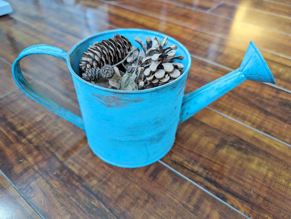Watering can