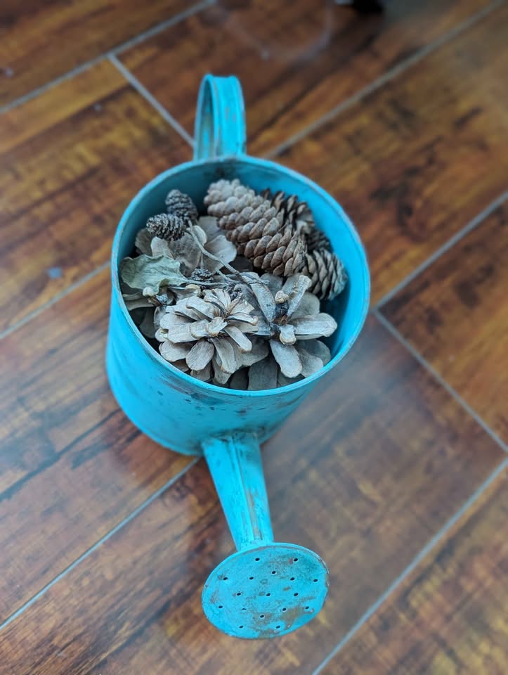 Watering can - photo 2