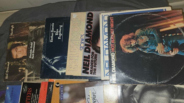 130 vinyl records - photo 2