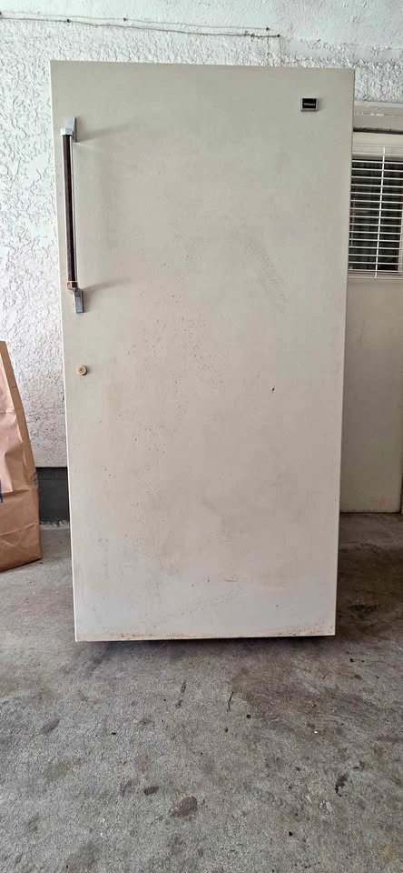 Stand Up Freezer