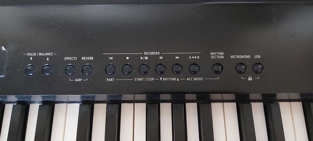 Kawai ES7 Digital Piano - photo 4