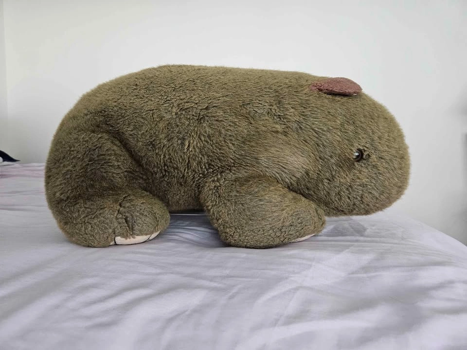 Large Disney Pooh Bear & Realistic Wombat Plushie - photo 4