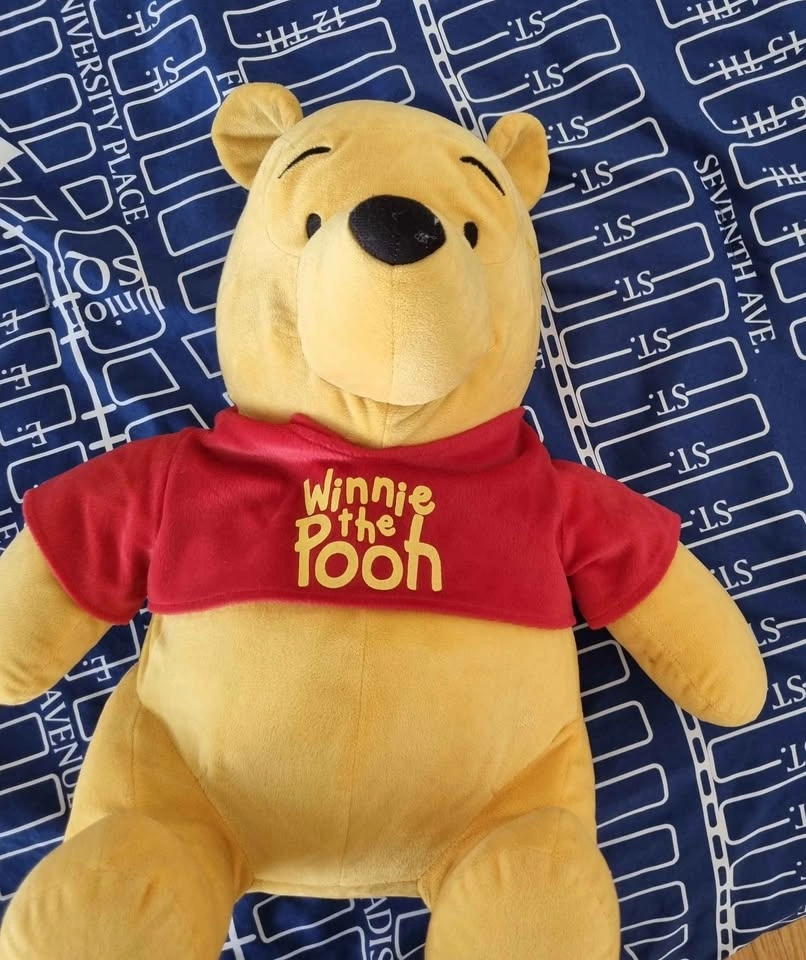 Large Disney Pooh Bear & Realistic Wombat Plushie - photo 5