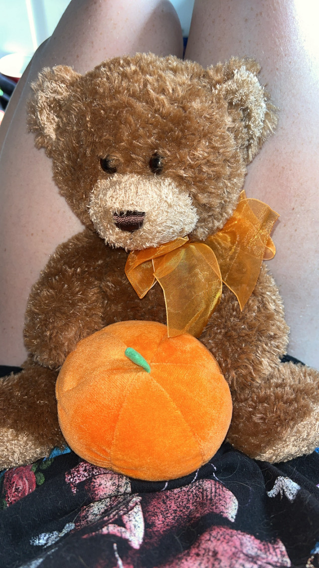 Pumpkin Teddy bear