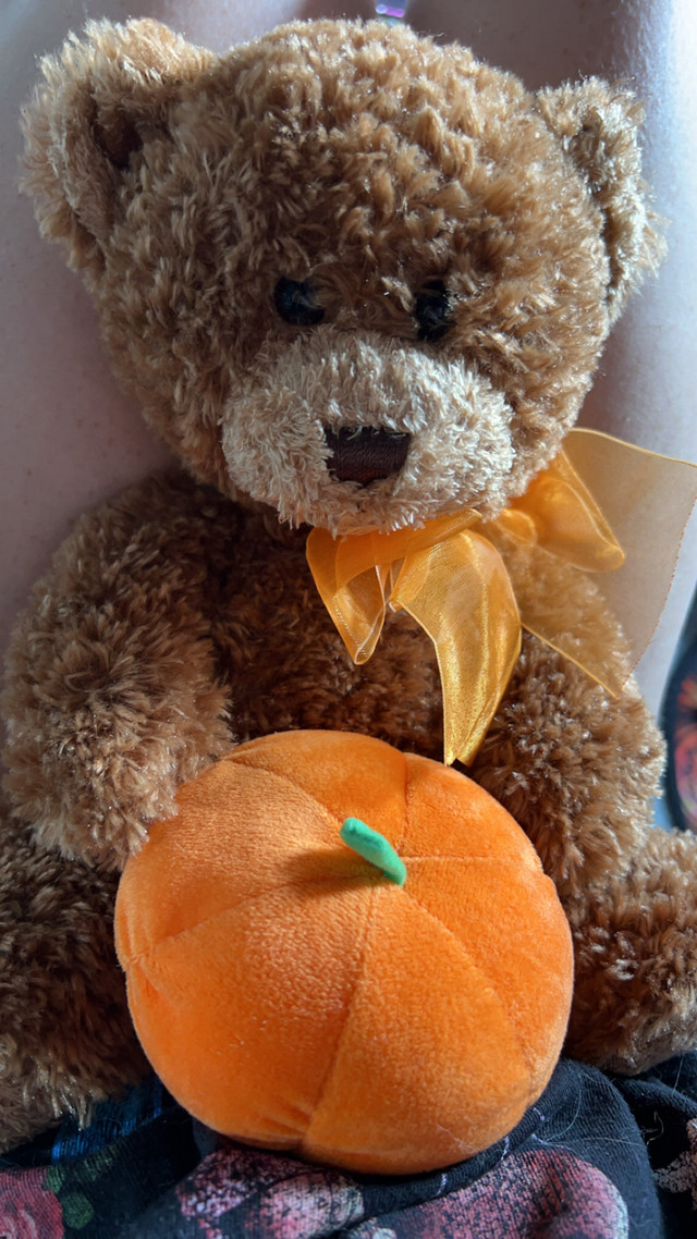 Pumpkin Teddy bear - photo 2