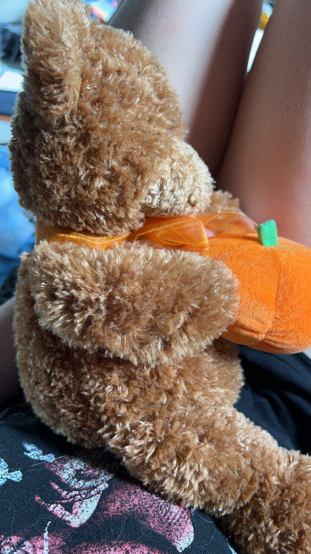 Pumpkin Teddy bear - photo 4