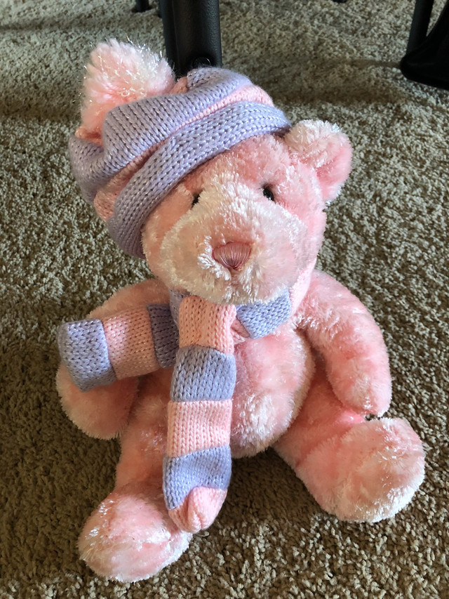Pink & purple teddy bear