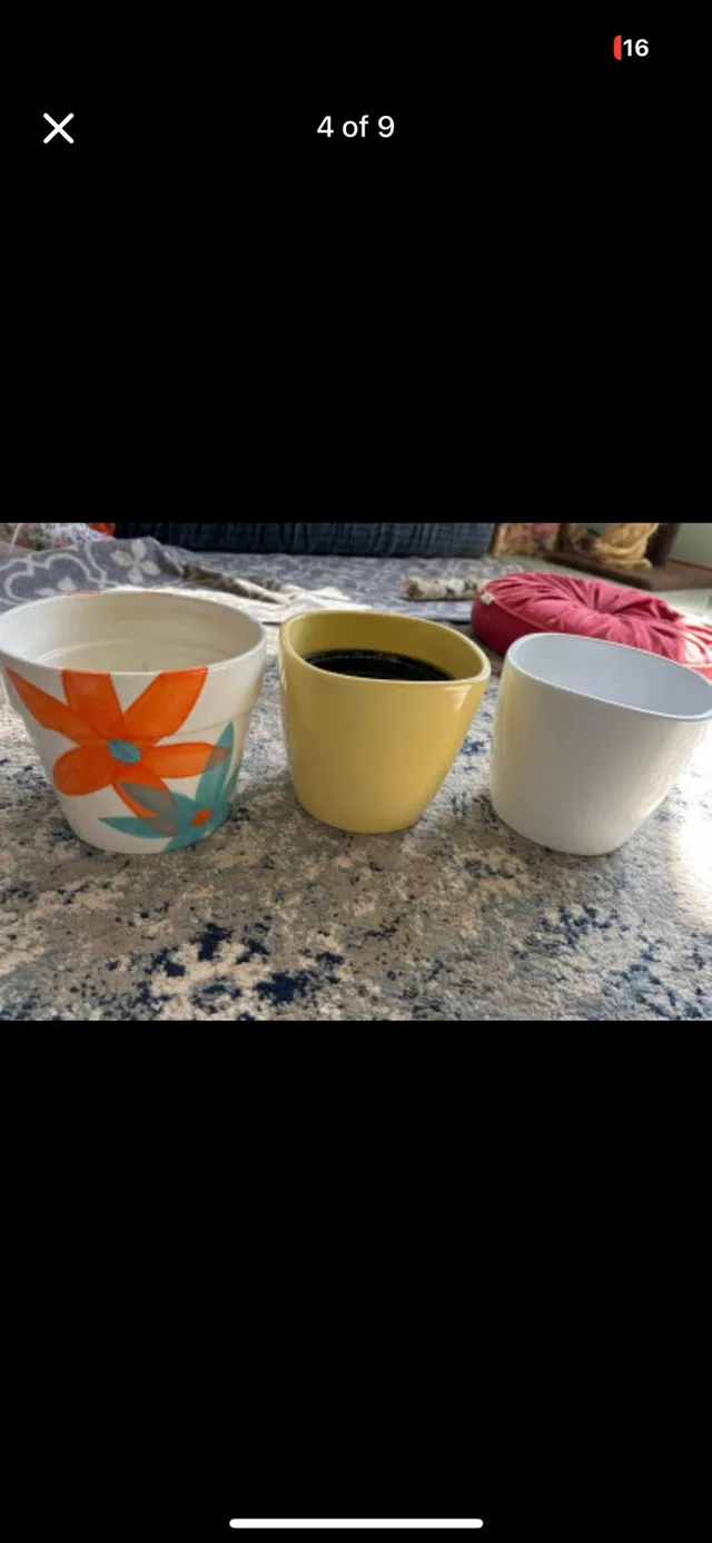 Plant pots and vases image indicator(10)