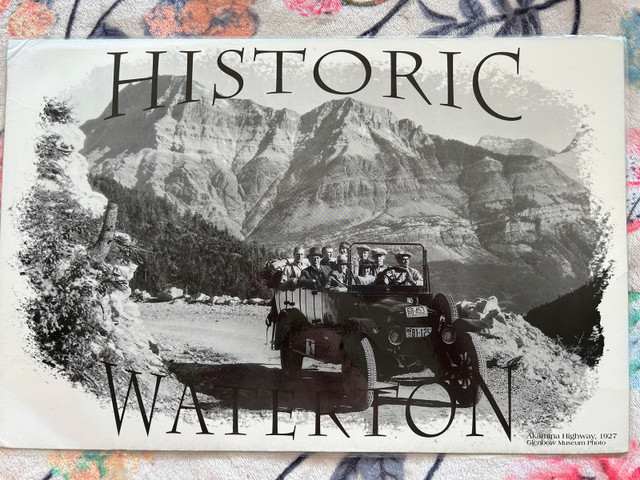 Waterton lakes table placemat - photo 2
