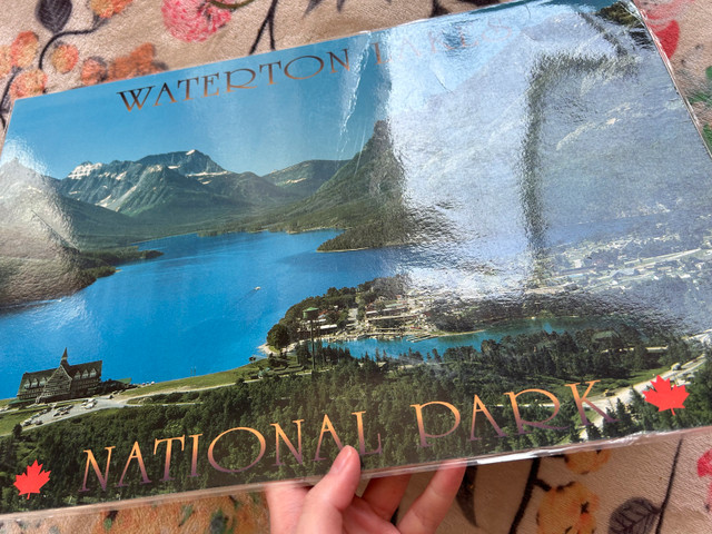 Waterton lakes table placemat - photo 3