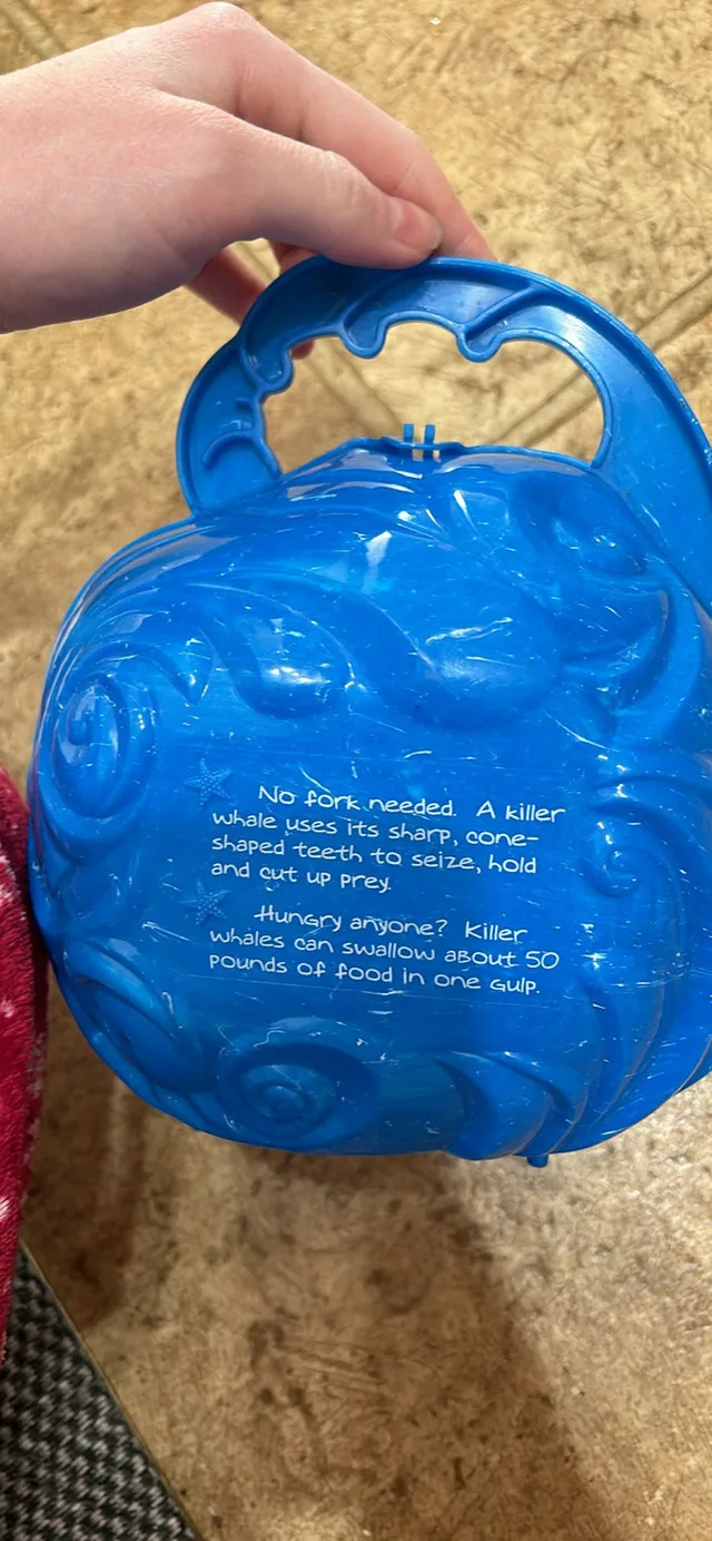 Shamu SeaWorld lunchbox image indicator(2)