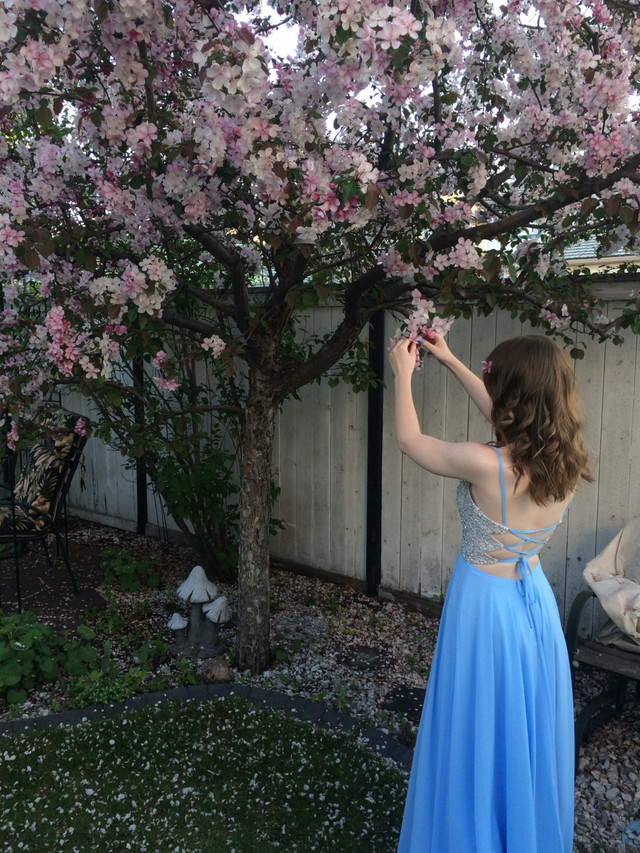 Periwinkle grad dress - photo 3