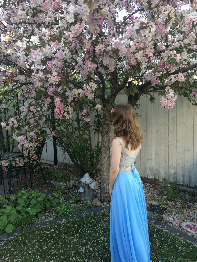 Periwinkle grad dress - photo 4