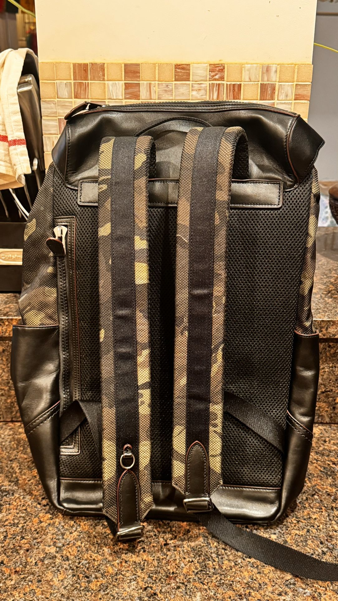 Coach Backpack - photo 3