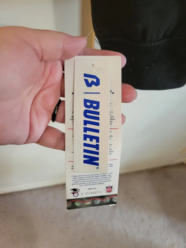 Authentic Blue Jays MLB Pullover Hoodie image indicator(3)