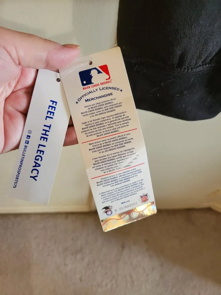 Authentic Blue Jays MLB Pullover Hoodie image indicator(4)