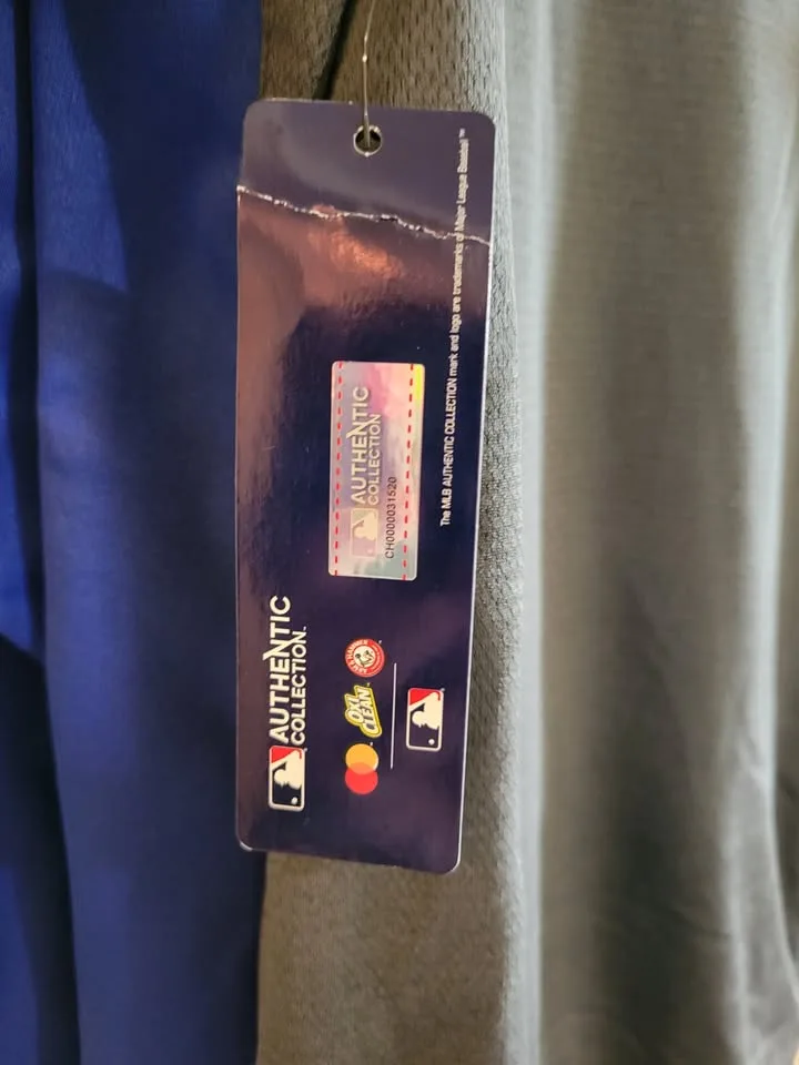 Blue Jays Authentic MLB Nike Sweatshirt image indicator(4)