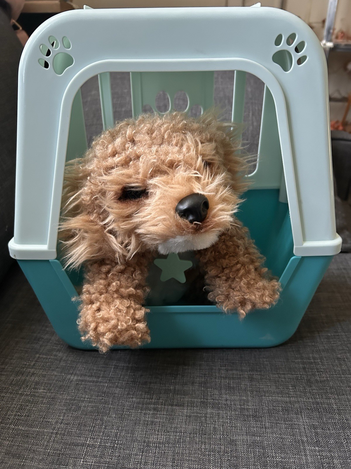 Brown Dog Stuffed Animal with Pet Carrier Small Plush Toy Set
